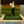 Aran  S